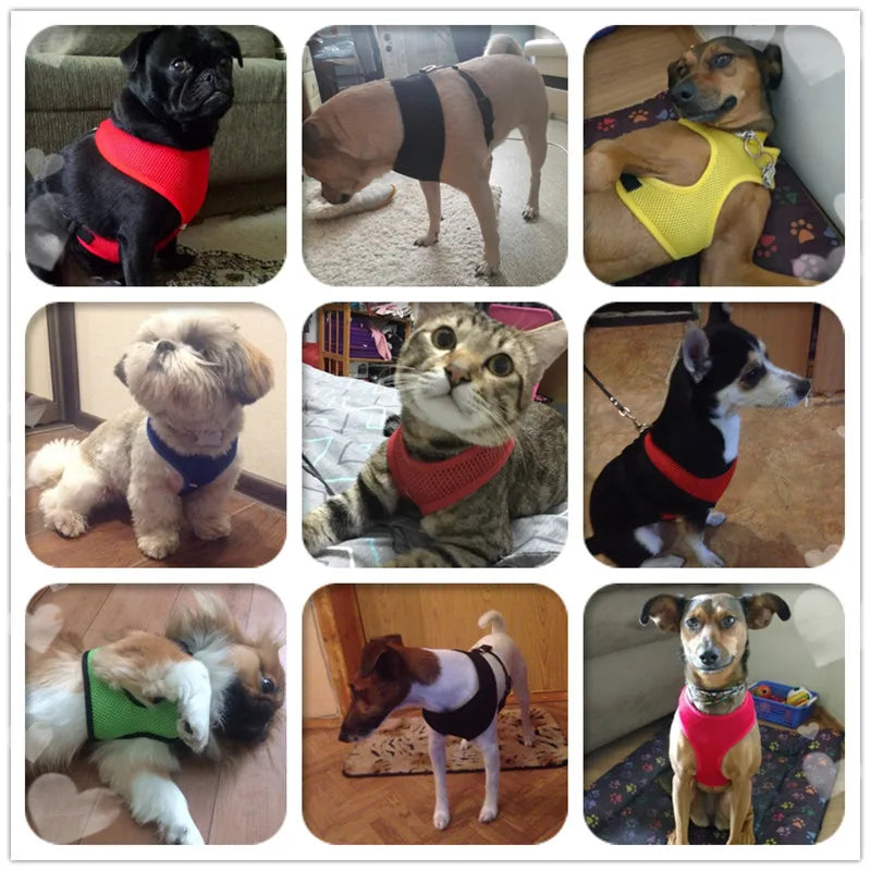 Adjustable Soft Mesh Dog Harness - Breathable Vest Harness for Small, Medium & Large Dogs