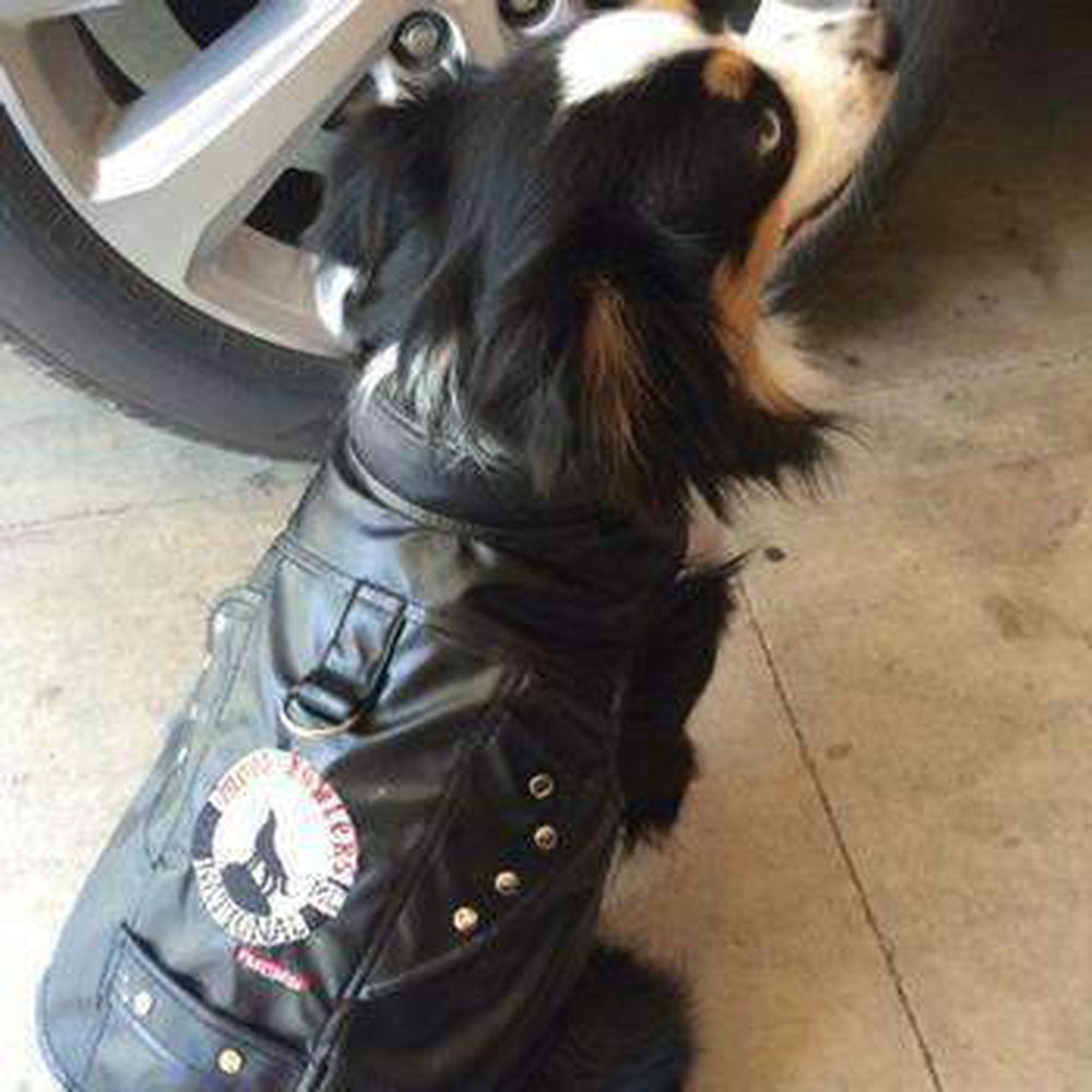 Biker Harness Vest by Doggles - Moon Howlers