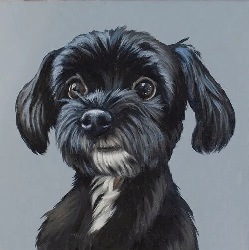 Corbello - Canvas Print on Wood - Bella - 6 x 6