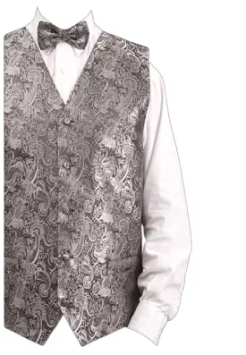 DANIEL ELLISSA METALLIC THREAD PAISLEY VEST SET VS809 SILVER