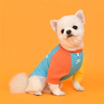 Lifeguard Rescuer Dog Vest