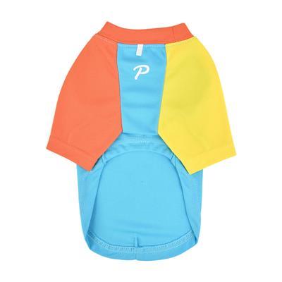 Lifeguard Rescuer Dog Vest