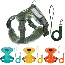 No Pull Small Dog Harness and Leash Set Breathable Puppy Chest Strap Reflective Pet Harness Vest 4-point Adjustment Chihuahua